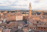 Siena3