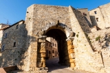 volterra4