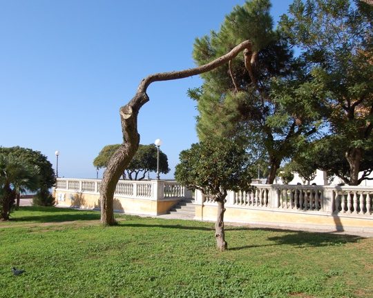 https://www.hotellidofollonica.com/wp-content/uploads/2016/03/hotel-lido-27-540x432.jpg