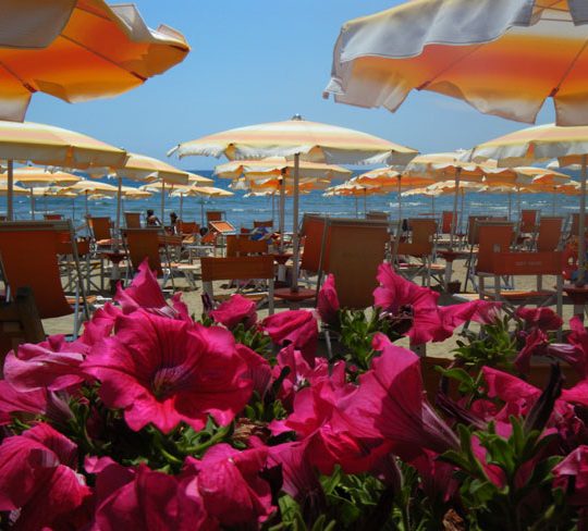 https://www.hotellidofollonica.com/wp-content/uploads/2016/03/hotel-lido-29-540x488.jpg