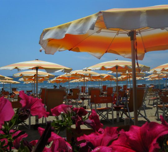 https://www.hotellidofollonica.com/wp-content/uploads/2016/03/hotel-lido-30-540x488.jpg