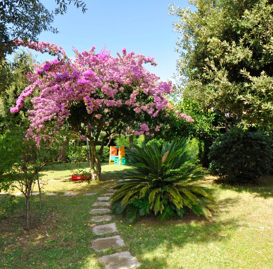 https://www.hotellidofollonica.com/wp-content/uploads/2016/03/n_7-540x531.jpg