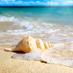 https://www.hotellidofollonica.com/wp-content/uploads/2016/05/3.jpg