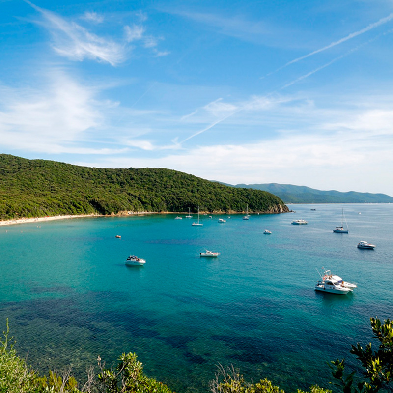https://www.hotellidofollonica.com/wp-content/uploads/2016/05/calaviolina.jpg